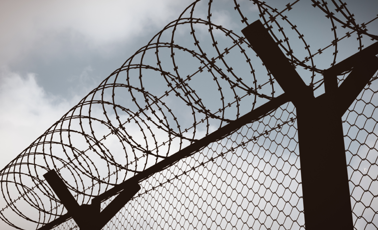 barbed-fence